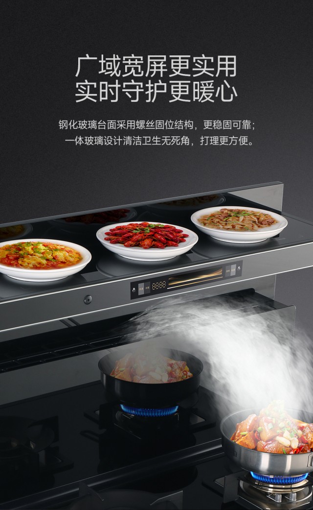 锐雅28新品独立蒸烤详情页1_02_副本.jpg